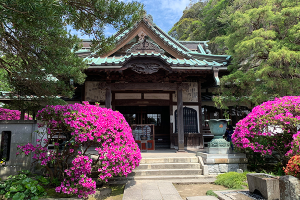 安養院